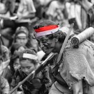 freedom fighter2